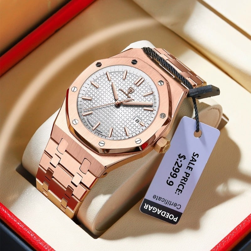 Swiss Brand Men's Water-Resistant Luminous Quartz Watch